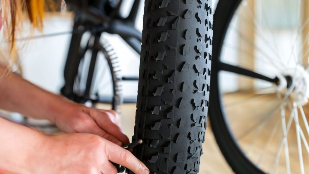 Why Choose Fat Tires